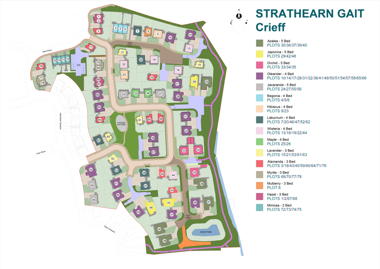 strathearn gait development plan